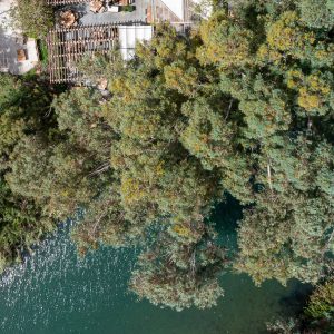 חנות DELI RIVER